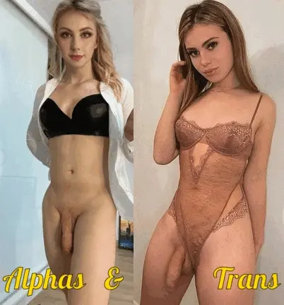 Alphas & Trans