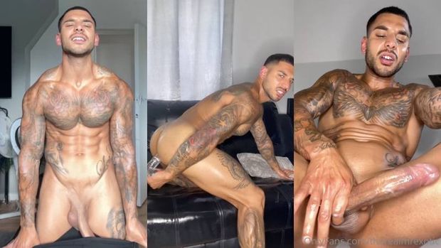 OnlyFans – Mr Exotic – Steamy ass play & jerk off Collection 3