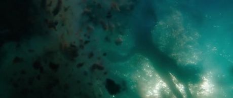 Stunner bully babe Catherine is in awe being in underwater boat see great white sharks swim about (subtitles added) video!