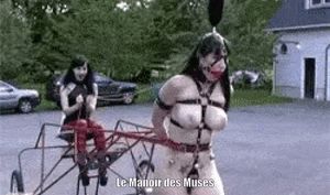 Juliette harnessed in ponygirl