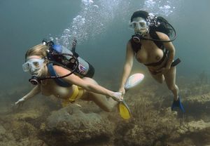 Sexy scuba buddies, which would you take for a swim?