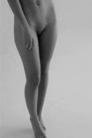 Don't Be Shy GIF