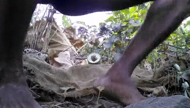 Africa