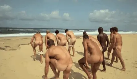 Whole lotta asses