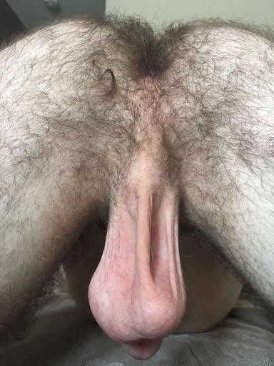 Hairy ass and hanging balls