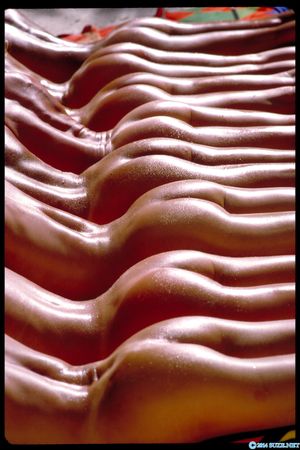 a whole row of oiled up porn ass