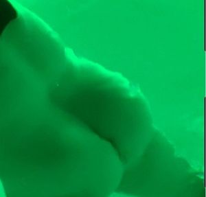 Chubby ohio milf ass