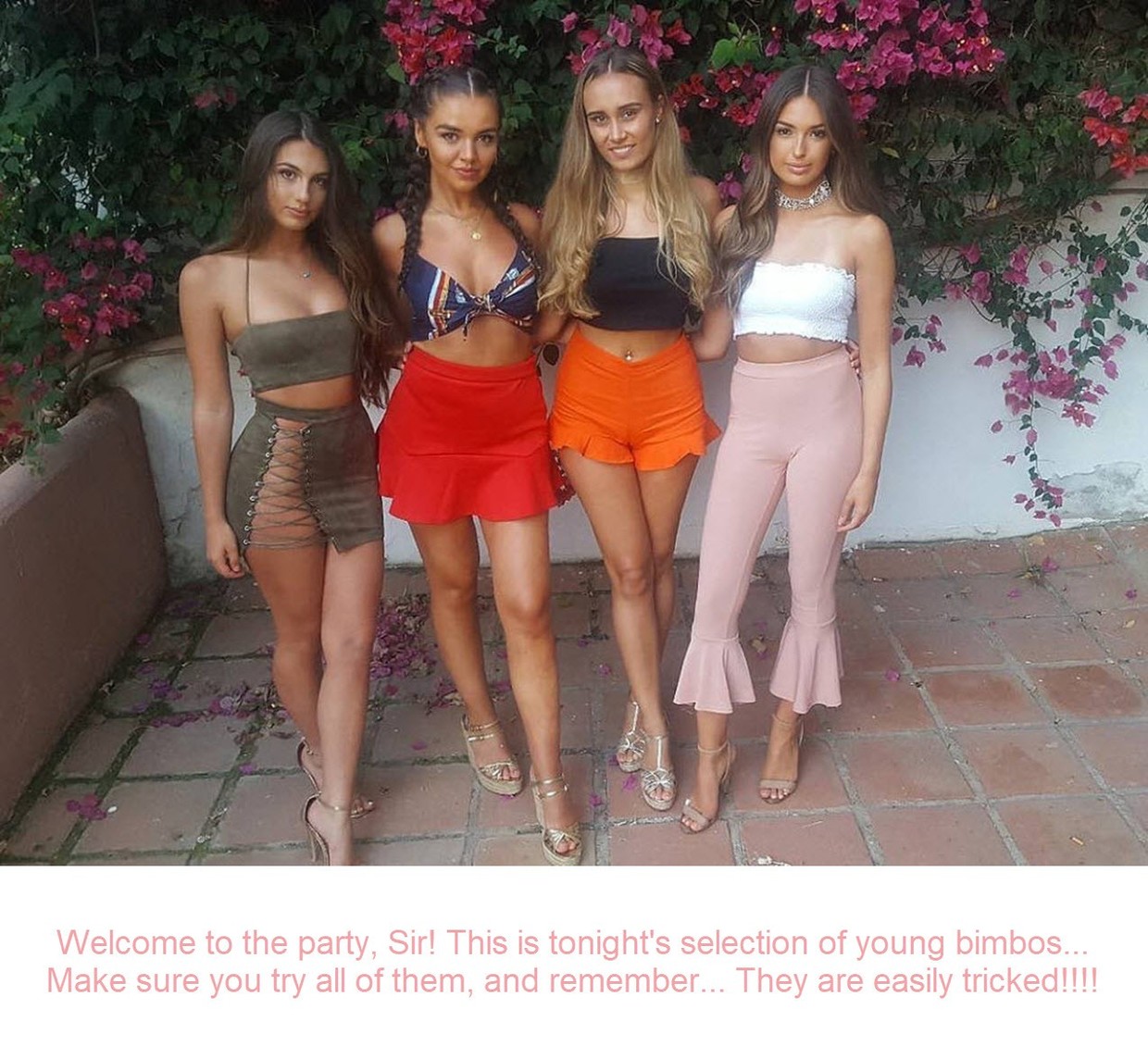 Four dumb bimbos at your service
