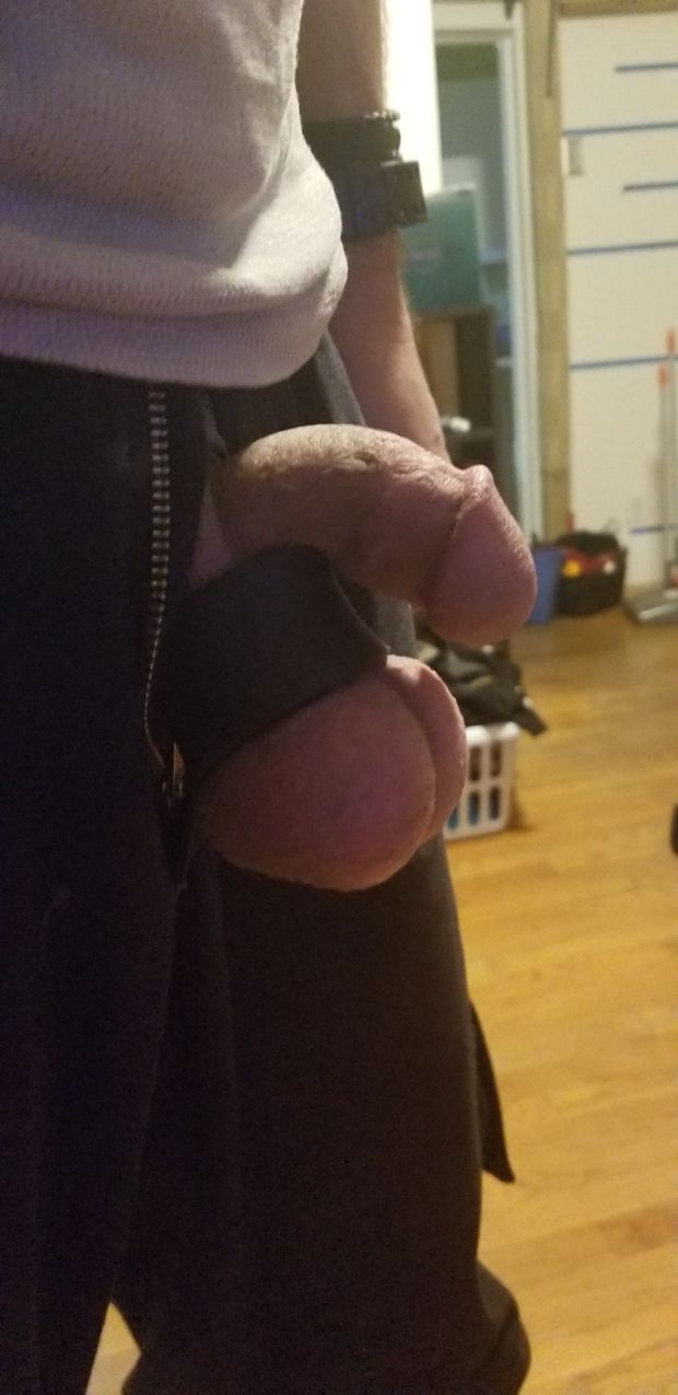 My semi limp dick in my favorite ball stretcher
