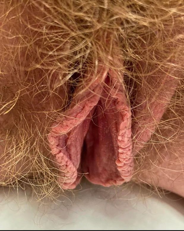 Red haired pussy