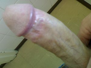 HighveldShark Picture