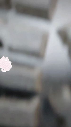 Beautiful slut Candypie