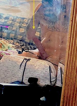 my size has let me inside some hot women and cum in them.