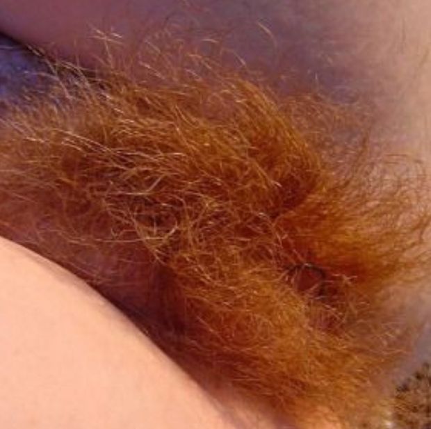 Burning bush