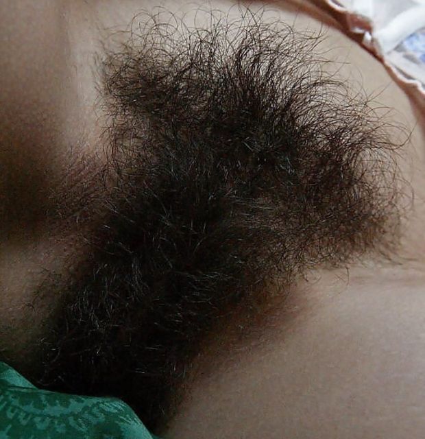 Plush bush