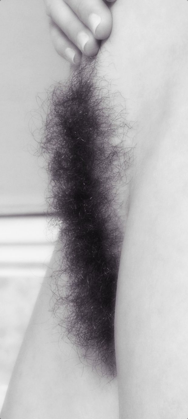 Fluffy bush