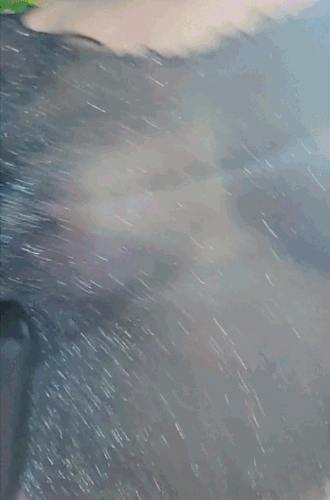 Exploring Eve public flashing
