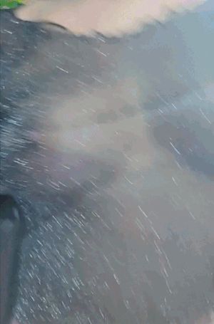 Exploring Eve public flashing