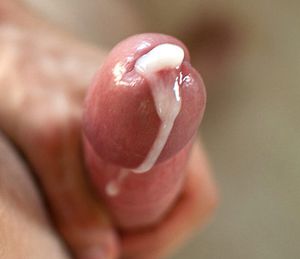 Please, give me your cum!