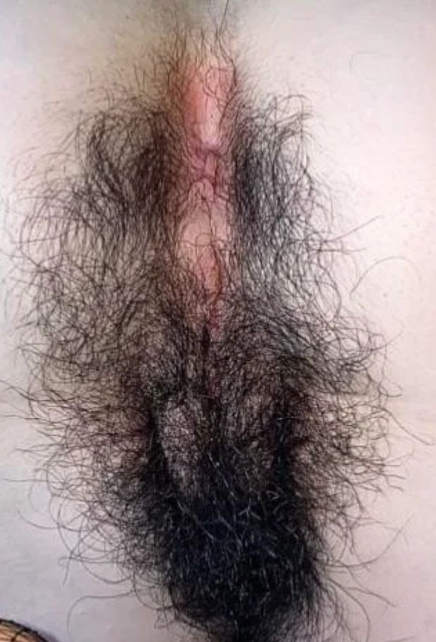 Bushy crack