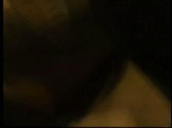 Holly Body - Fresh Meat 2