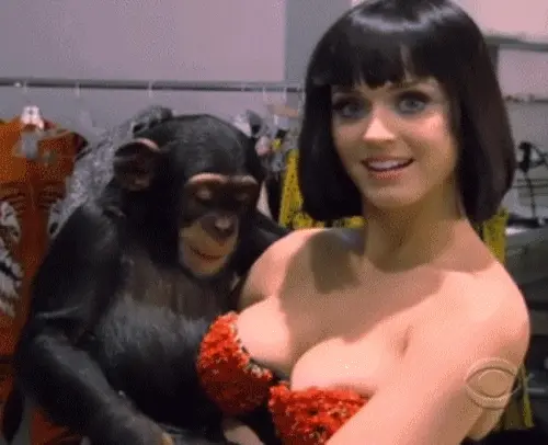monkey business