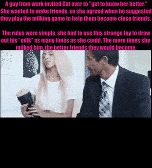 Cat is desperate to make new friends.