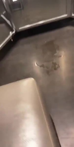 Hiding my squirties in a public changing room