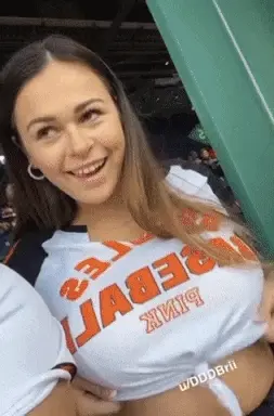 Fenway Boobies
