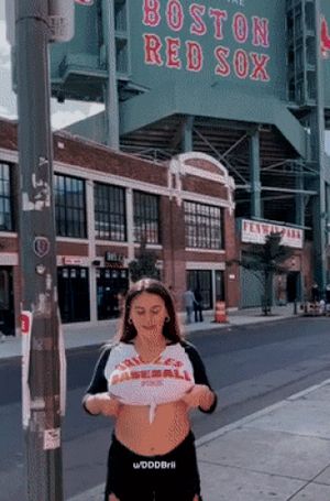 DDBrii public flashing