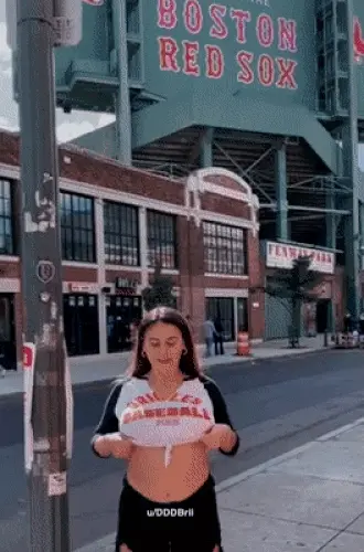 DDBrii public flashing