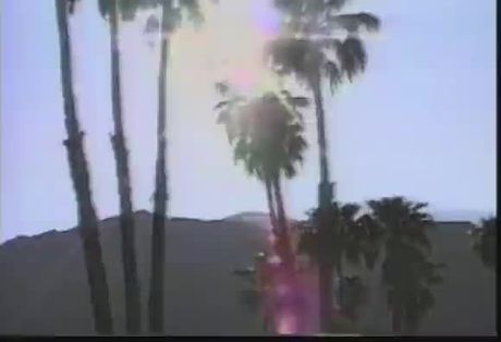 Playboy's Best of College Women