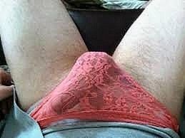 Lace delights