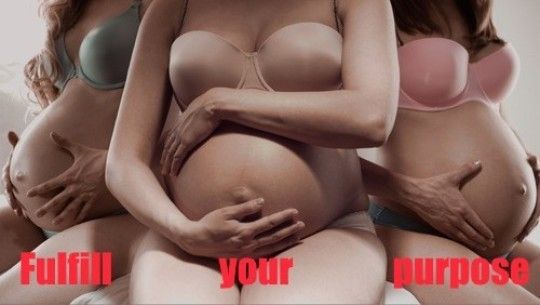 Ideally, my Sluts will all be bred simultaneously so they can enjoy being pregnant together.  -HK