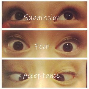 Sexy Asian gagslave Megan Allen the three stages to being a gagslave captioned