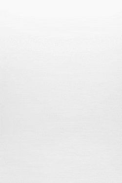 101 sofia jamora GIF