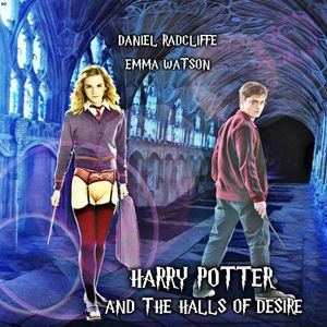 Harry and Hermione discover a new hallway where the other person always looks like their desires