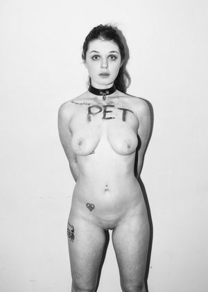 Pet