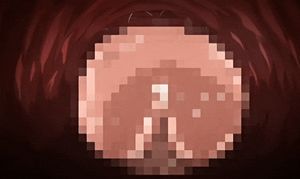 Meikoku Gakuen Jutai-Hen