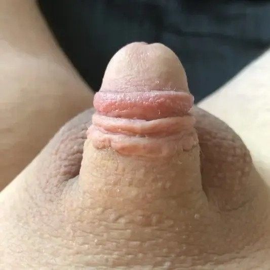 Cute little dick