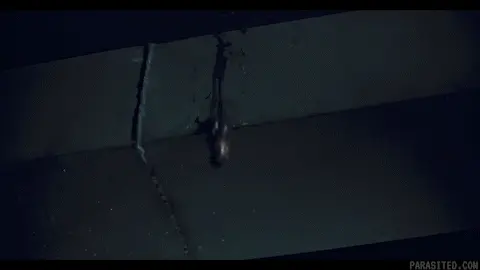 An infection began