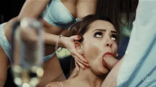 sex ⊙ wine ⊙ lingerie — dL#35