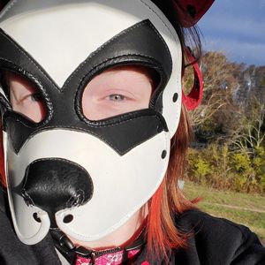 PoundPuppy Picture