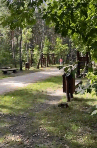 Nature flashing