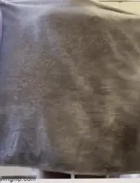 Shower time dance