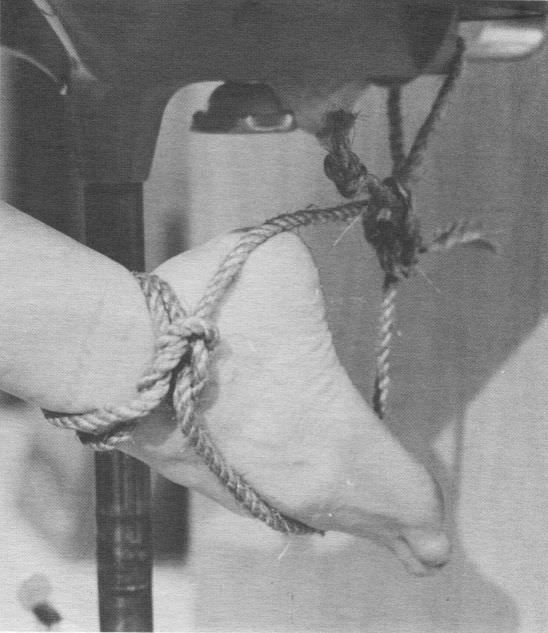 Vintage bondage