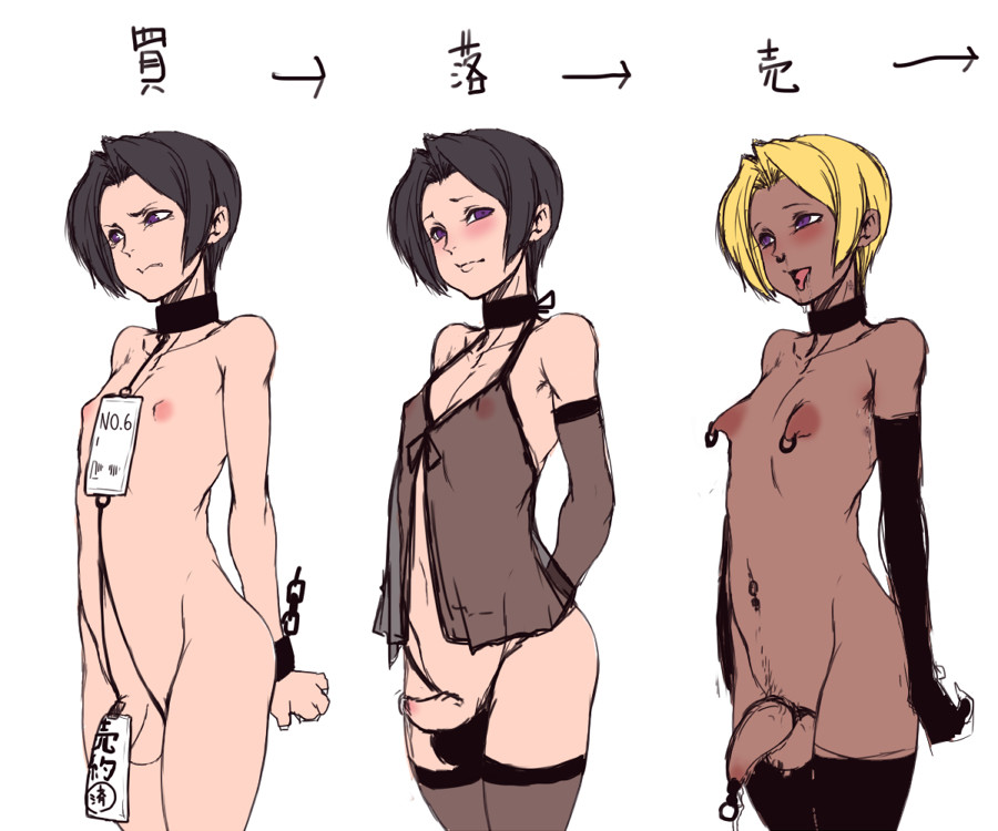 Progression of  a sissy slave