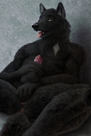 ShadowWolf34 Picture