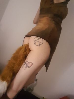 alt fox showing her tail