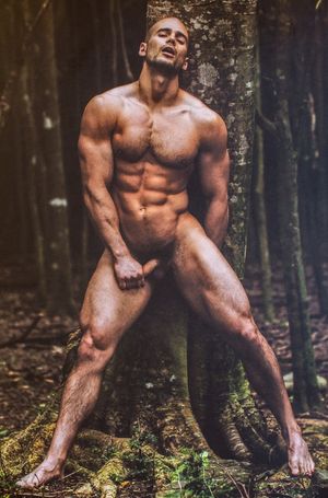 Todd Sanfield